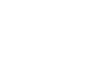 Renault logo white
